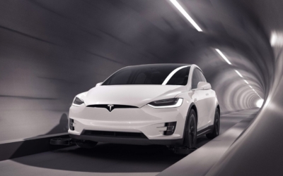 teslaboring