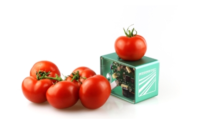 food-scanner-fraunhofer